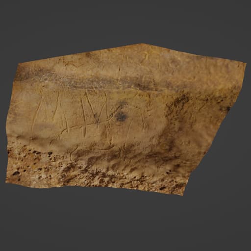 Paleolithic engravings in the Cova de la Font Major